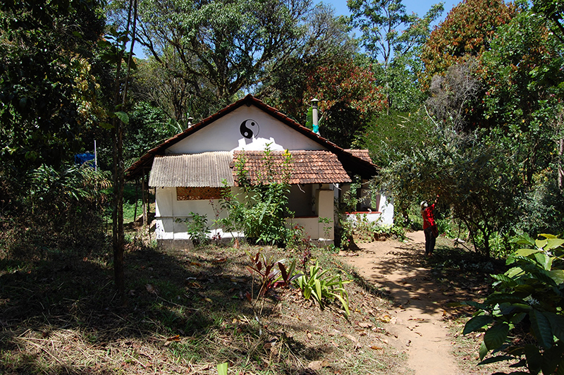photo of Drongo cottage